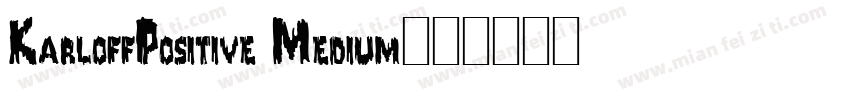 KarloffPositive Medium字体转换